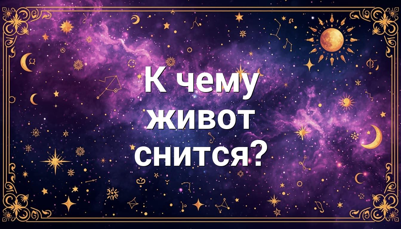 К чему живот снится?